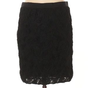 NWOT Gorgeous Banana Republic Black Skirt - Size 6